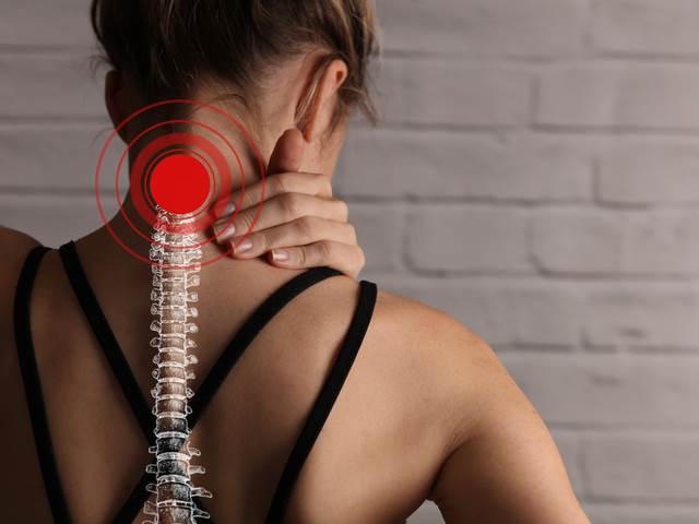 Svalová horečka pod drobnohledem