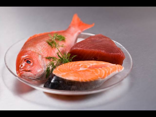 Mastné ryby prodlužují život buněk i celého organismu